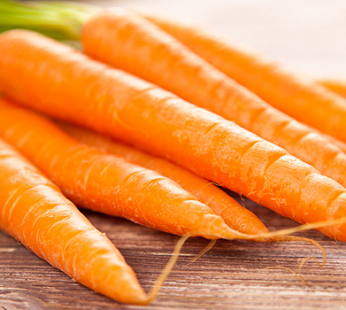 KAROTTE FRÜHMÖHRE 500 SAMEN DAUCUS CAROTA GEMÜSESAMEN MÖHRE FRÜHE ERNTE